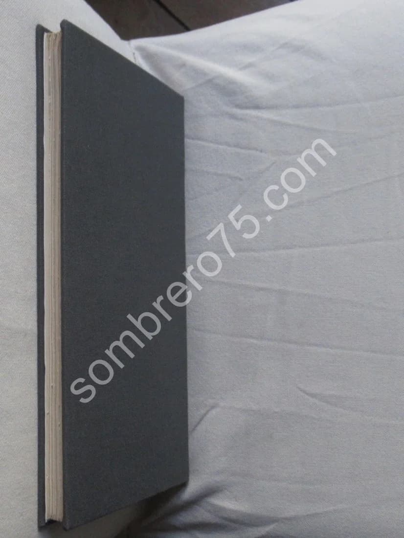 Innocent III Philippe de Souare Boniface de Montferrat. Le Comte RIANT - Image 8