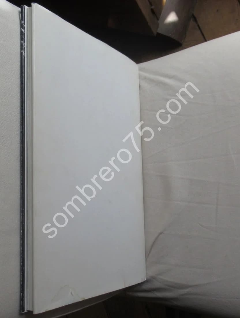 Georg Baselitz. Verdunkeling - Image 9