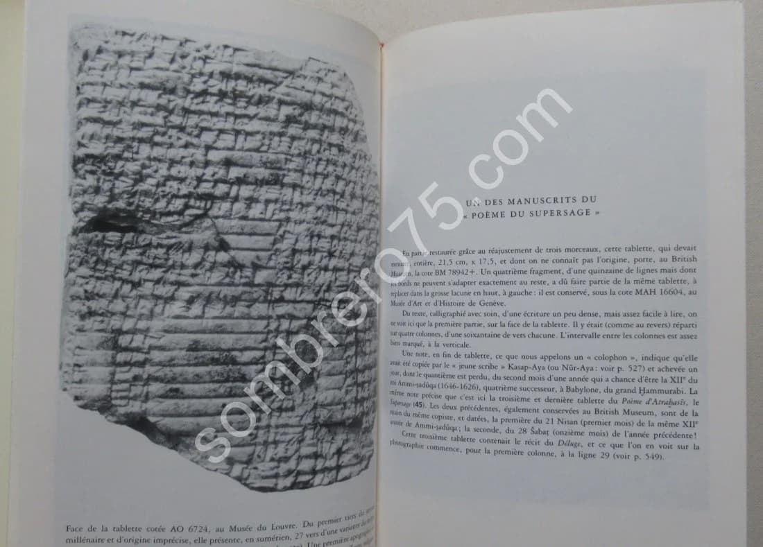 Lorsque les Dieux faisaient l'Homme. Mythologie mésopotamienne - Image 4