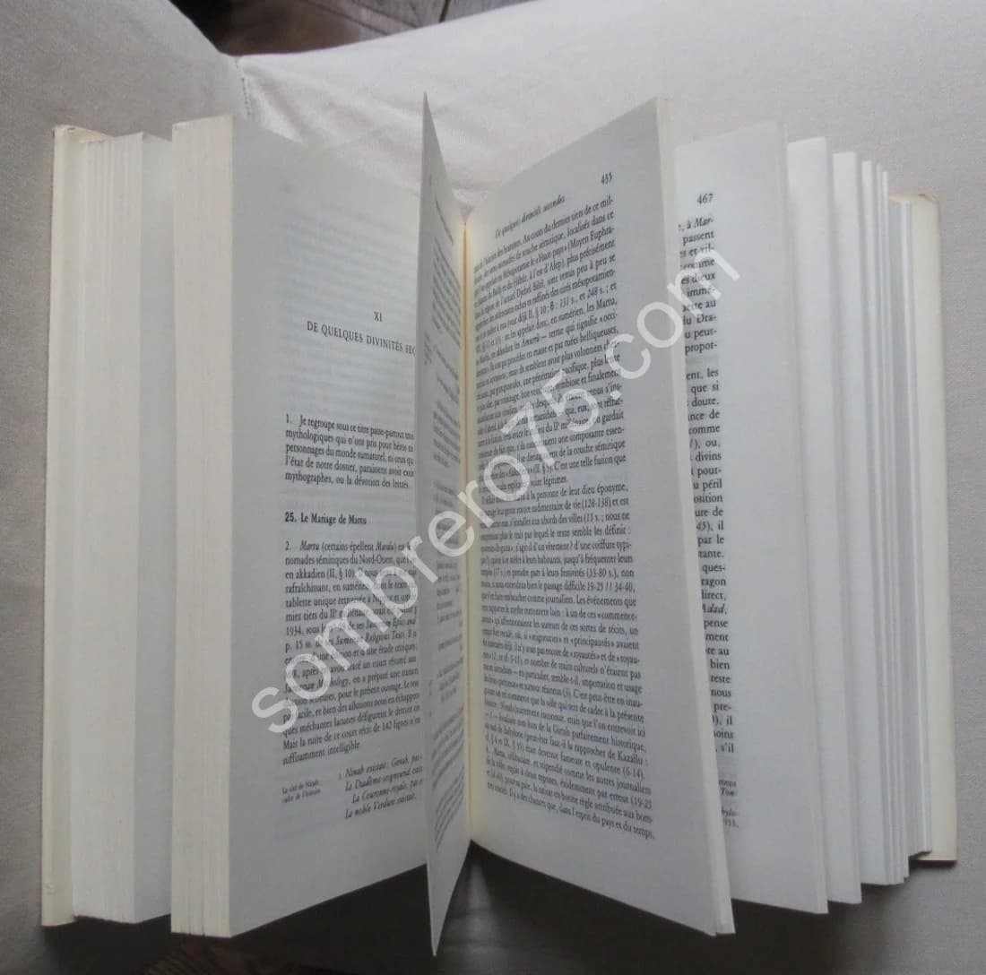 Lorsque les Dieux faisaient l'Homme. Mythologie mésopotamienne - Image 6