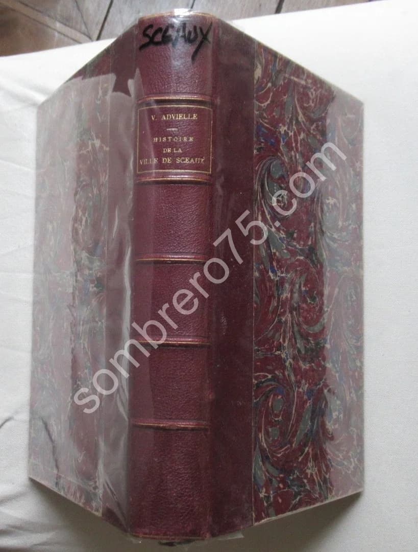 Histoire de la Ville de Sceaux depuis son Origine