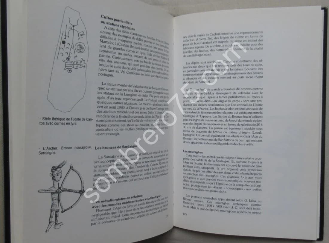 Mythes et Symboles de l'Europe Préceltique. Religions de l'Âge du Bronze - Image 5