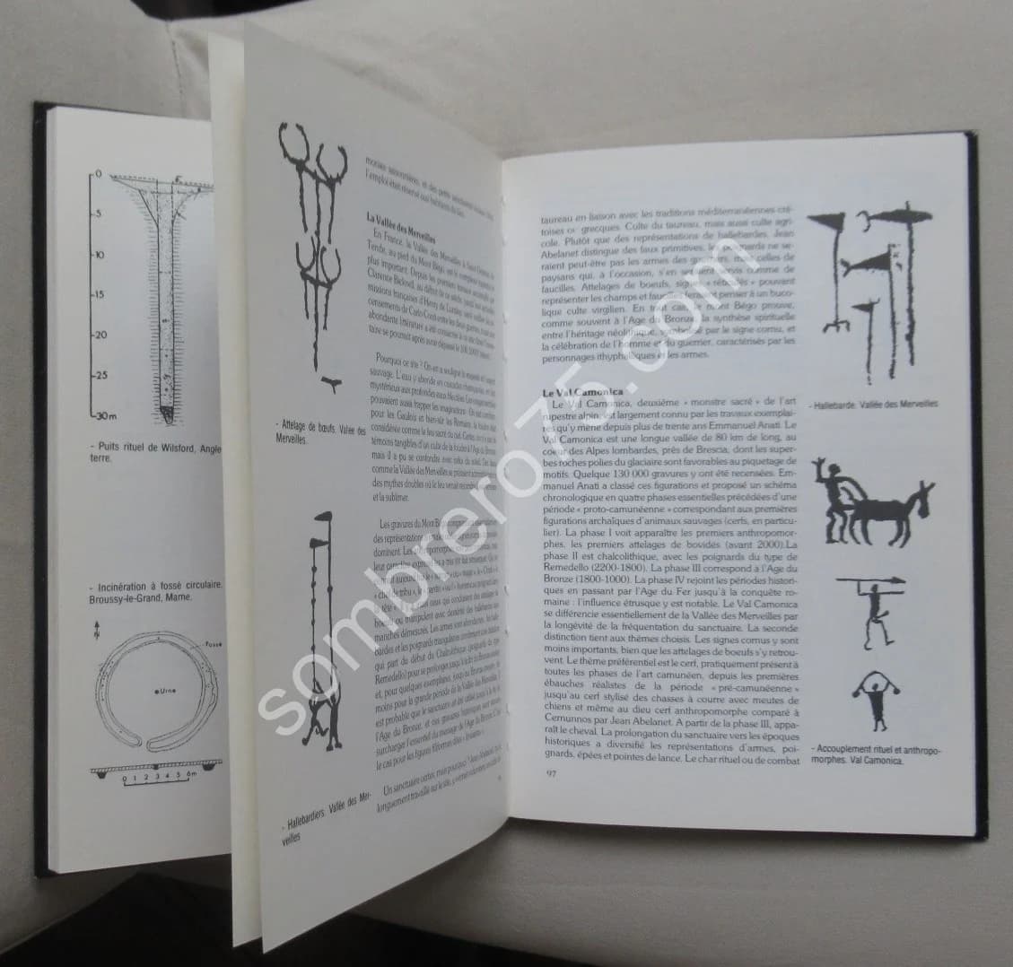 Mythes et Symboles de l'Europe Préceltique. Religions de l'Âge du Bronze - Image 6