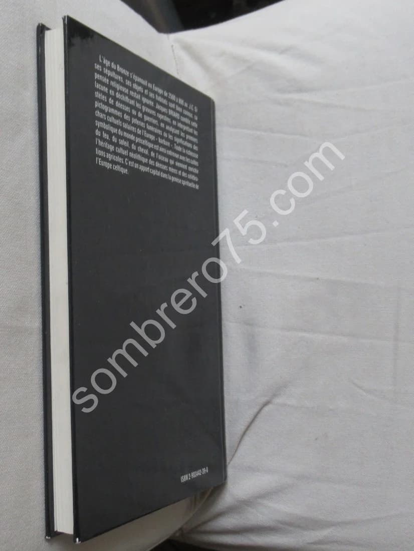 Mythes et Symboles de l'Europe Préceltique. Religions de l'Âge du Bronze - Image 7