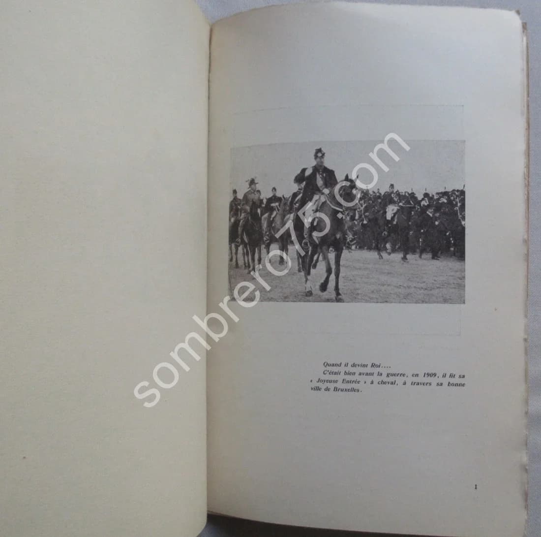 La Légende d'Albert 1er Roi des Belges. E.O. WERRIE - Image 11
