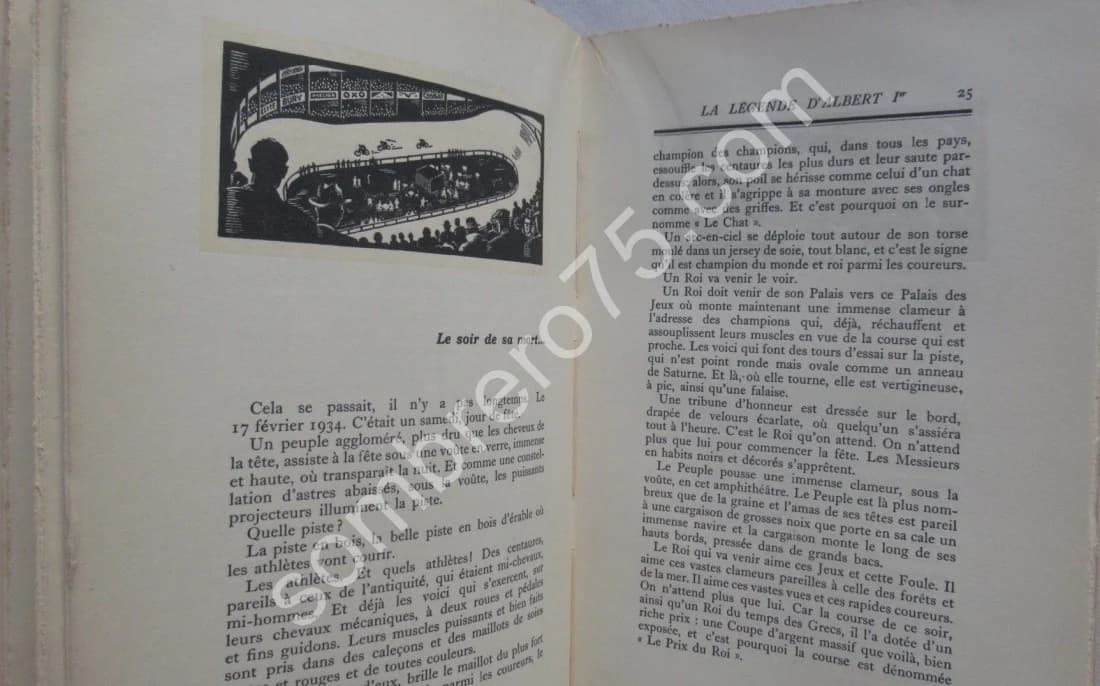 La Légende d'Albert 1er Roi des Belges. E.O. WERRIE - Image 6