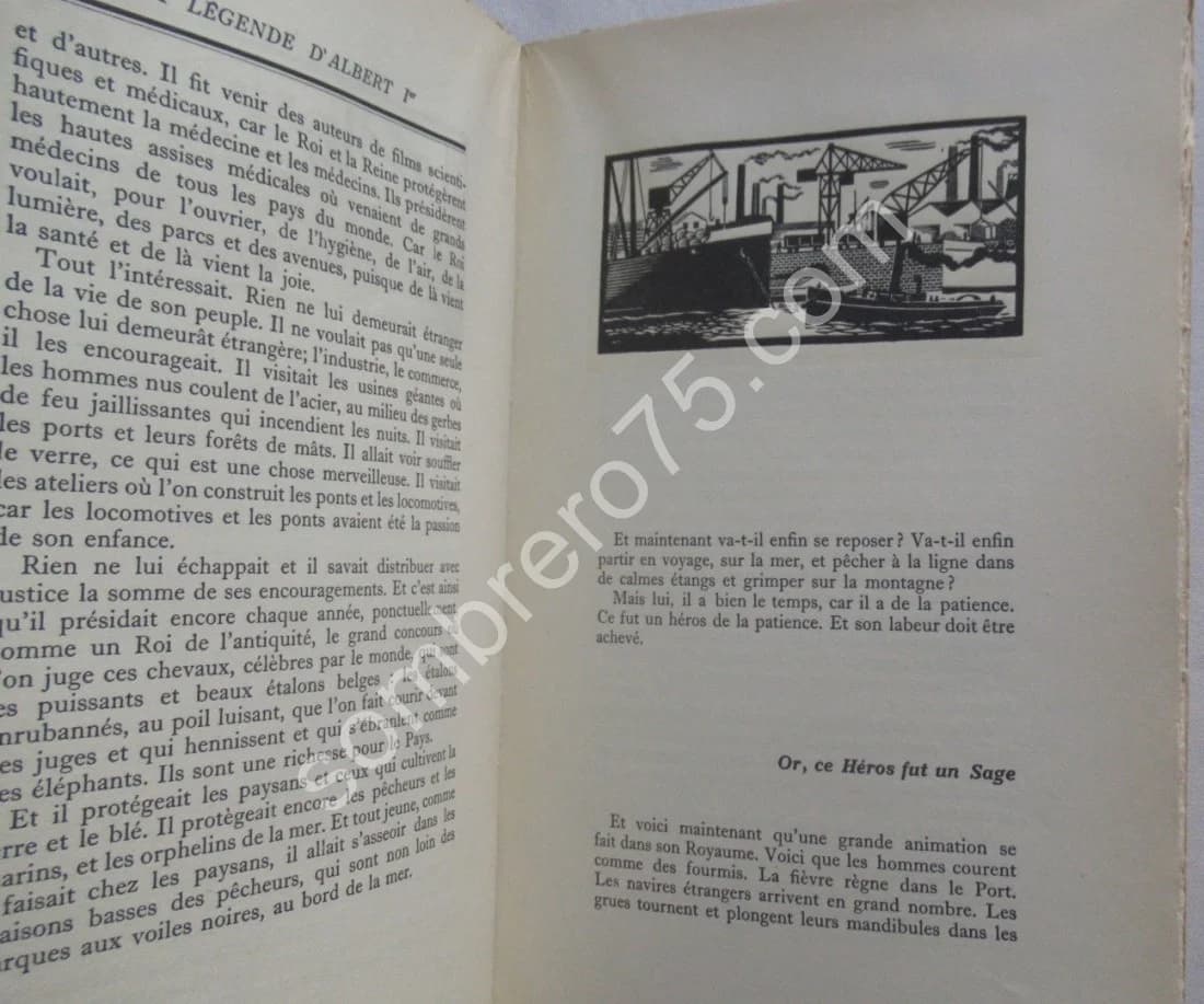 La Légende d'Albert 1er Roi des Belges. E.O. WERRIE - Image 8