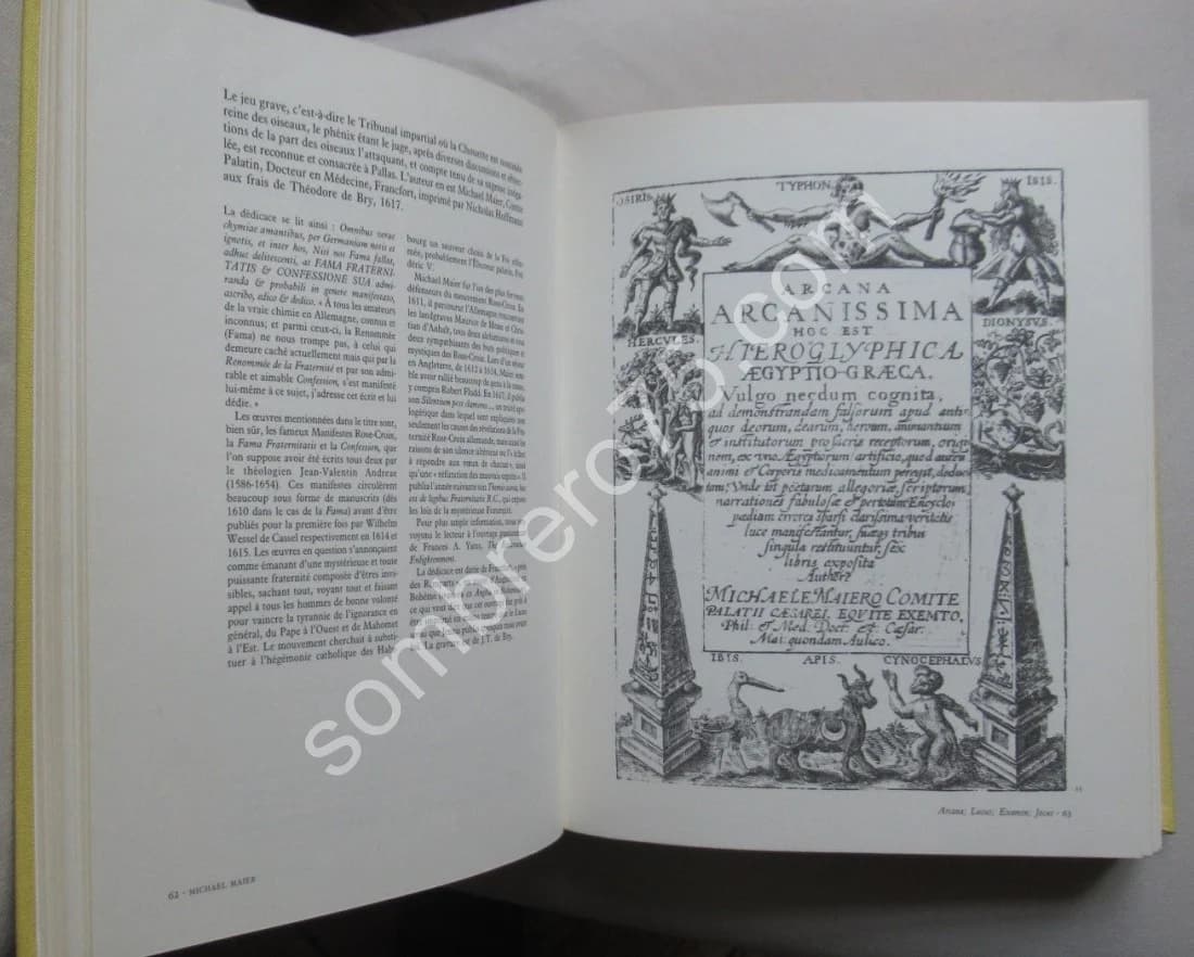 Le Jeu d'Or. Figures Hiéroglyphiques et Emblèmes Hermétiques - Image 7