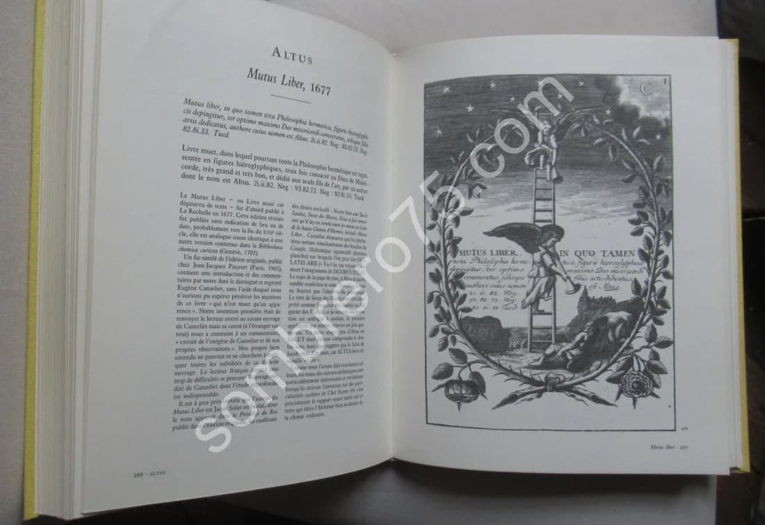 Le Jeu d'Or. Figures Hiéroglyphiques et Emblèmes Hermétiques - Image 9