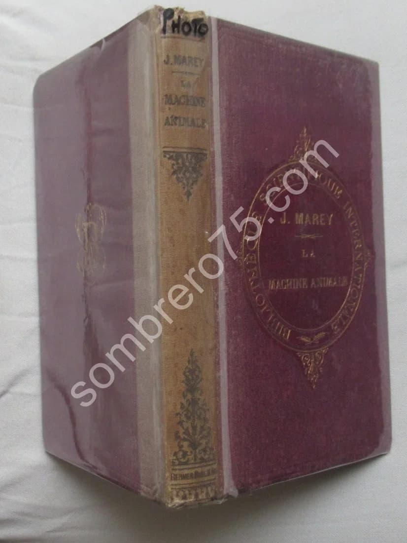La Machine Animale Locomotion Terrestre et Aérienne par E. J. MAREY