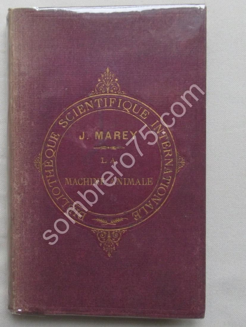 La Machine Animale Locomotion Terrestre et Aérienne par E. J. MAREY - Image 2