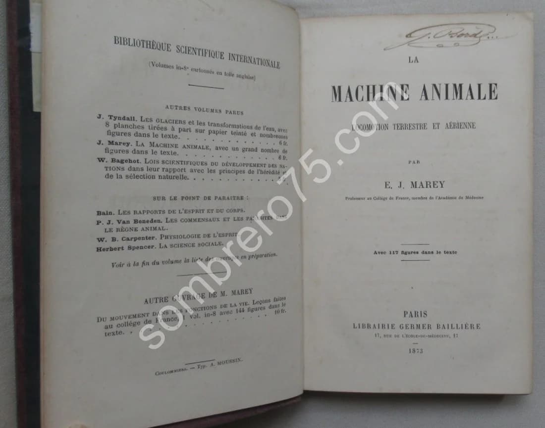 La Machine Animale Locomotion Terrestre et Aérienne par E. J. MAREY - Image 3
