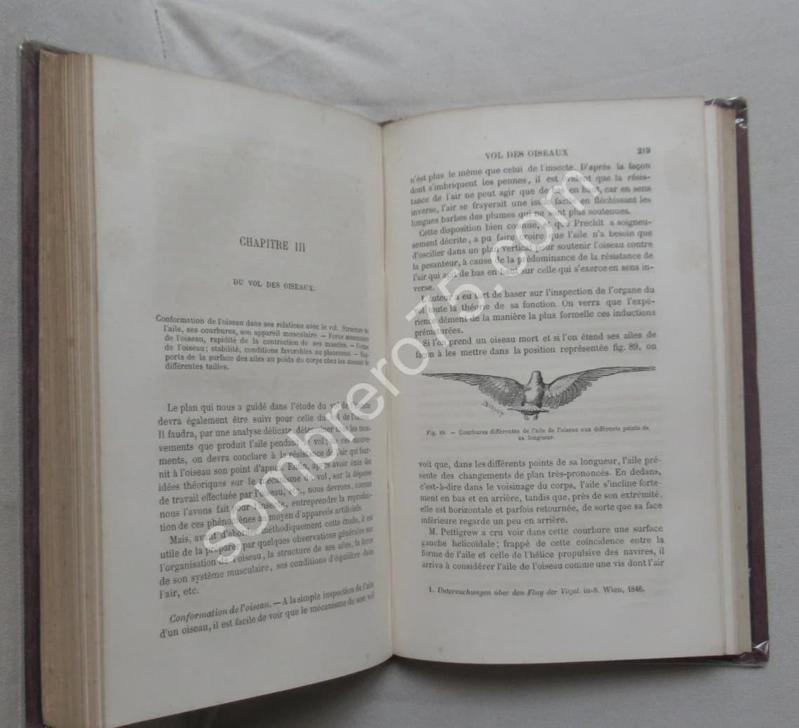La Machine Animale Locomotion Terrestre et Aérienne par E. J. MAREY - Image 6