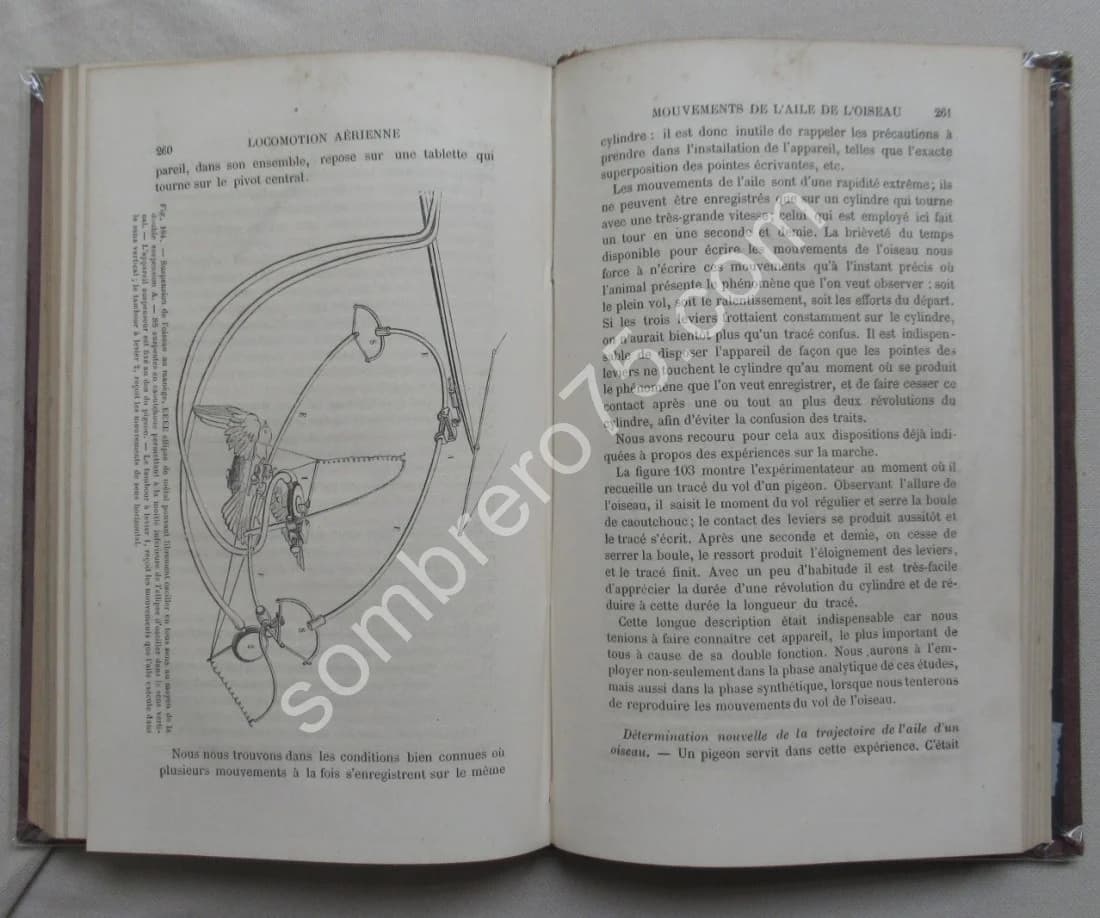 La Machine Animale Locomotion Terrestre et Aérienne par E. J. MAREY - Image 7