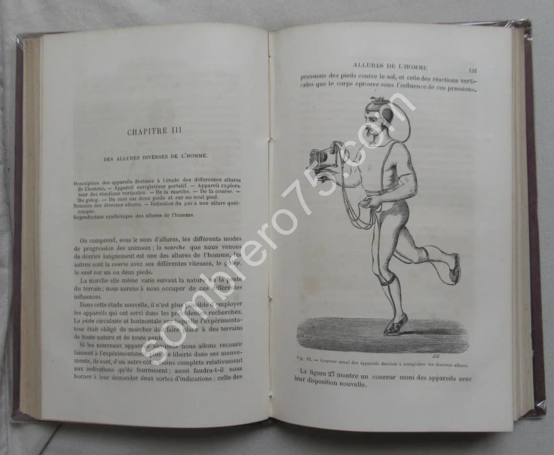 La Machine Animale Locomotion Terrestre et Aérienne par E. J. MAREY - Image 8