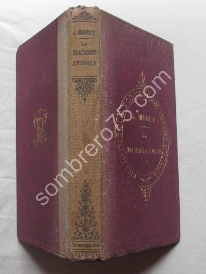 La Machine Animale Locomotion Terrestre et Aérienne par E. J. MAREY - Image 9