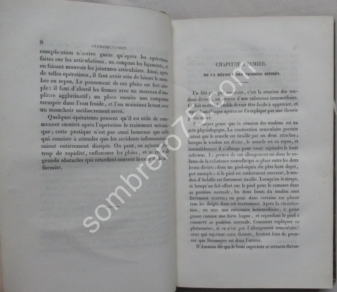 De la Ténotomie sous Cutanée - Dr Phillips. 1841 - Image 5