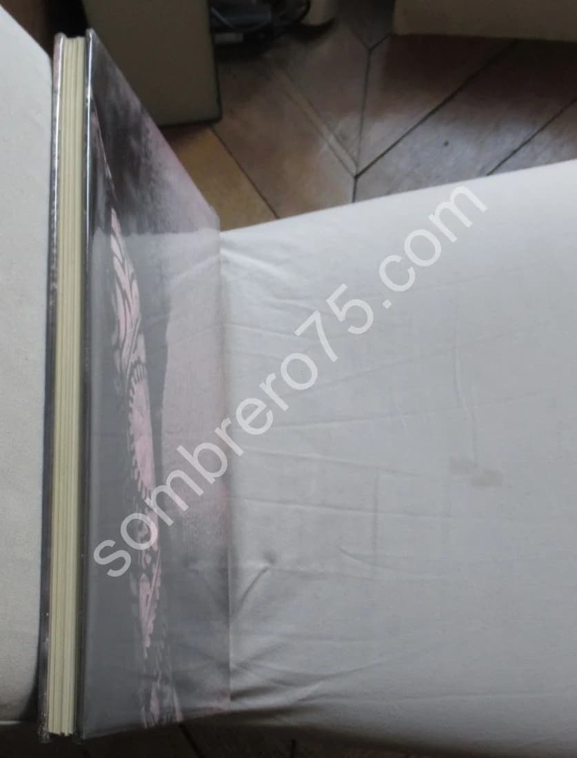 Les Erotiques du Regard. M. ATTALI - J. DELFAU - Image 12