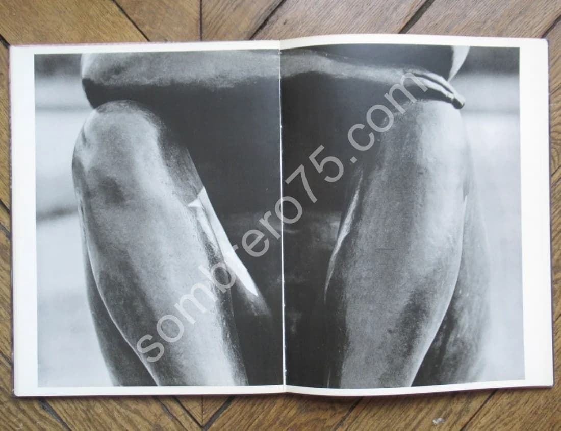 Les Erotiques du Regard. M. ATTALI - J. DELFAU - Image 9