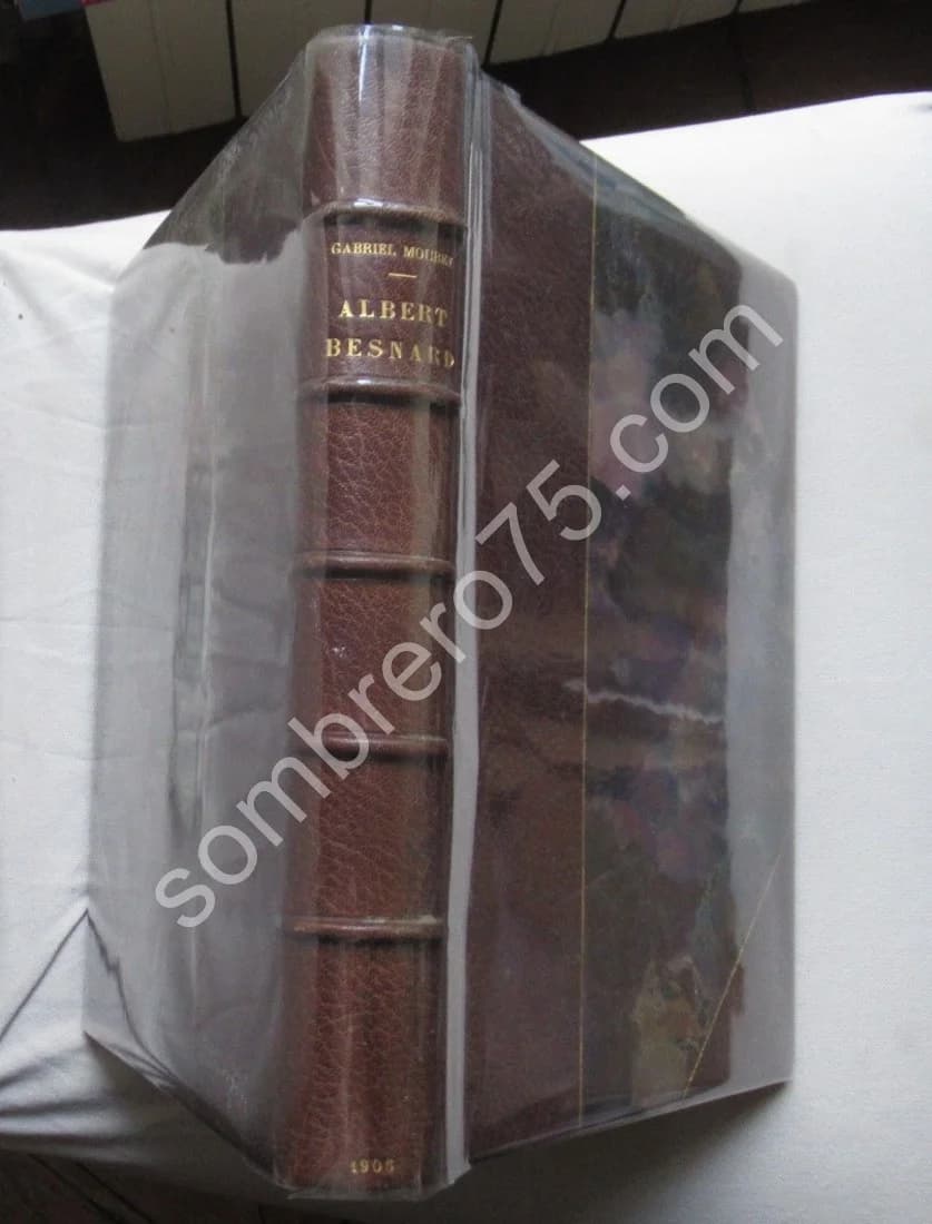 Albert Besnard par 1906