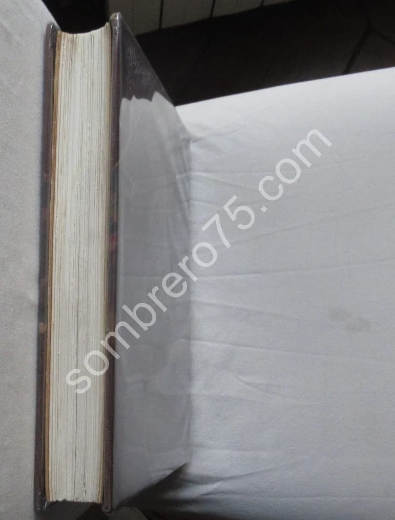 Albert Besnard par 1906 - Image 11