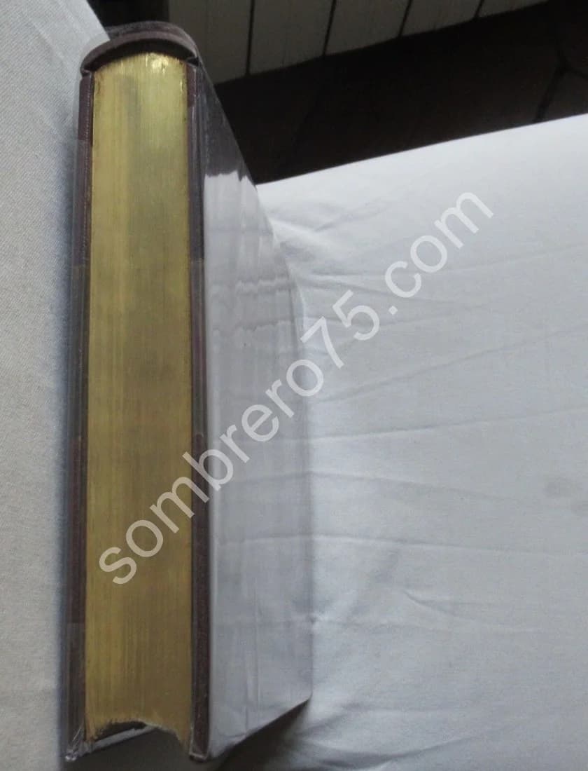 Albert Besnard par 1906 - Image 10