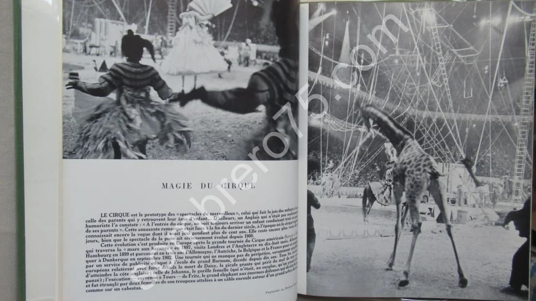 Permanence du Cirque. Paris. 1952. - Faucheux - Image 4