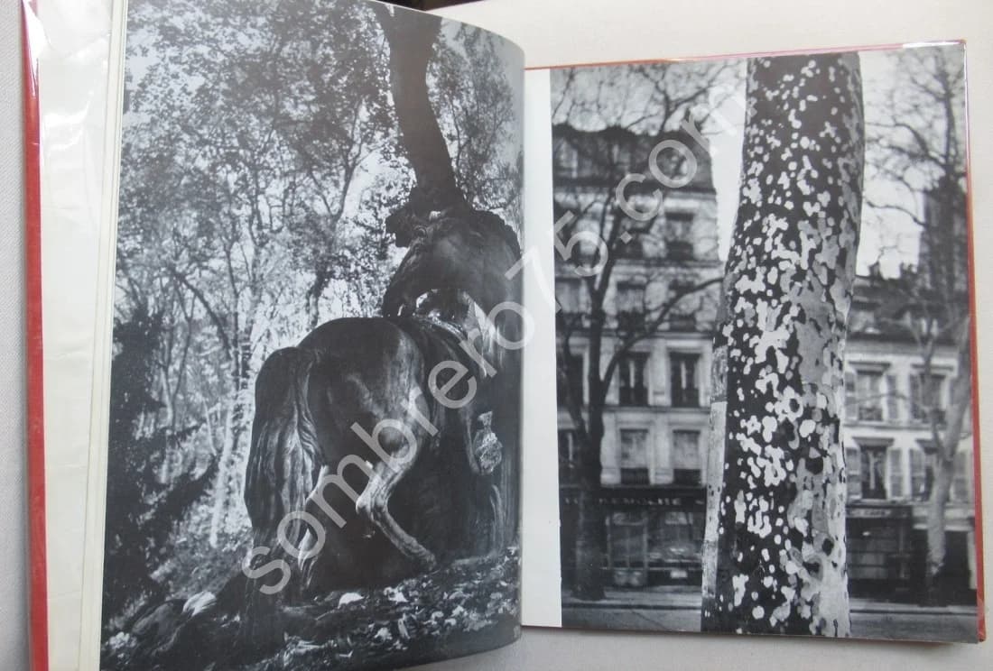 BRASSAÏ - 1952. R DELPIRE P FAUCHEUX - Image 5