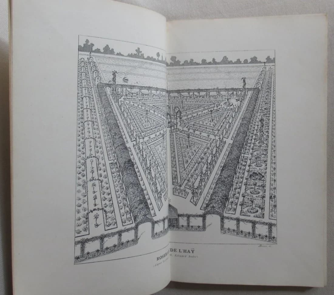 Collection Botanique de la Roseraie de l'Haÿ. Catalogue 1900. F CREPIN - Image 11