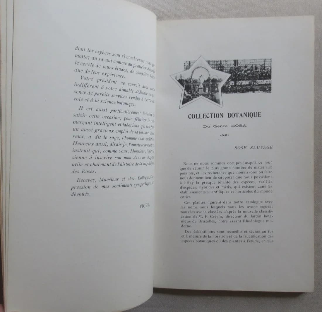 Collection Botanique de la Roseraie de l'Haÿ. Catalogue 1900. F CREPIN - Image 6