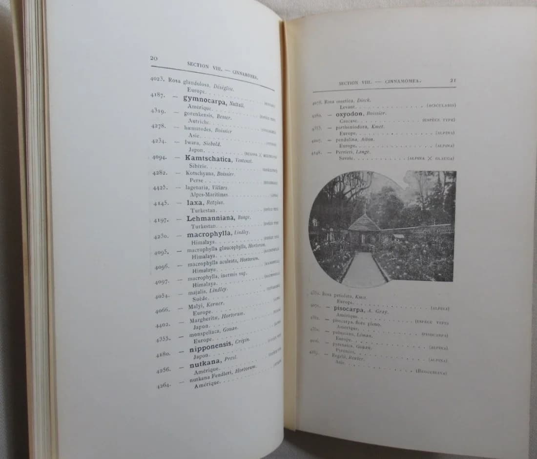 Collection Botanique de la Roseraie de l'Haÿ. Catalogue 1900. F CREPIN - Image 8