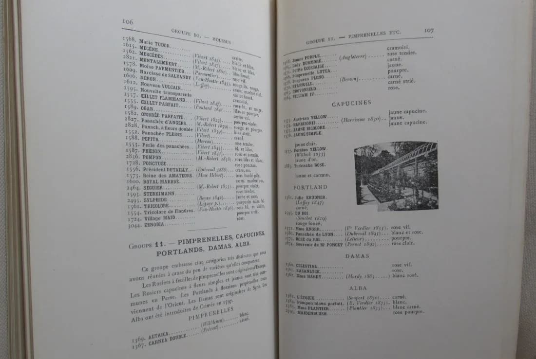 Collection Botanique de la Roseraie de l'Haÿ. Catalogue 1900. F CREPIN - Image 9