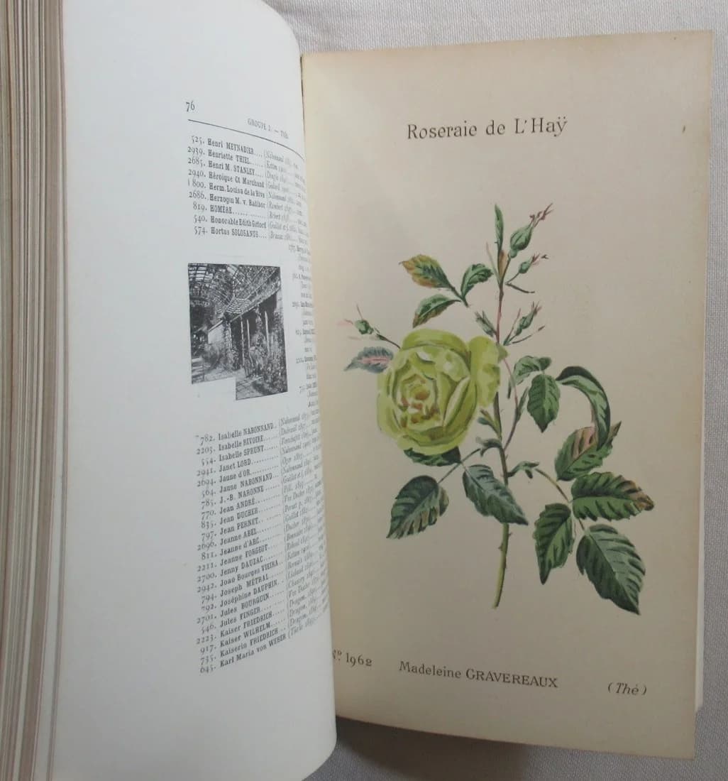 Collection Botanique de la Roseraie de l'Haÿ. Catalogue 1900. F CREPIN - Image 10