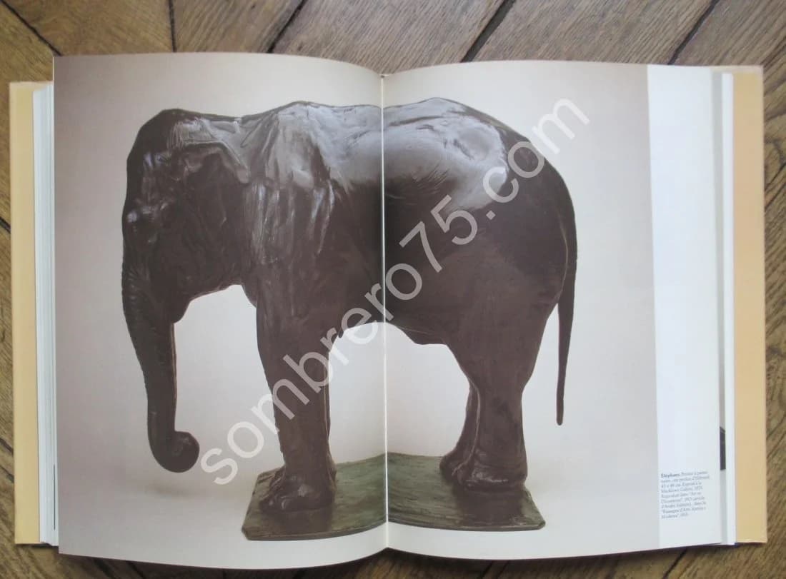 Carlo-Rembrandt-Ettore-Jean BUGATTI. Ph DEJEAN - Image 12