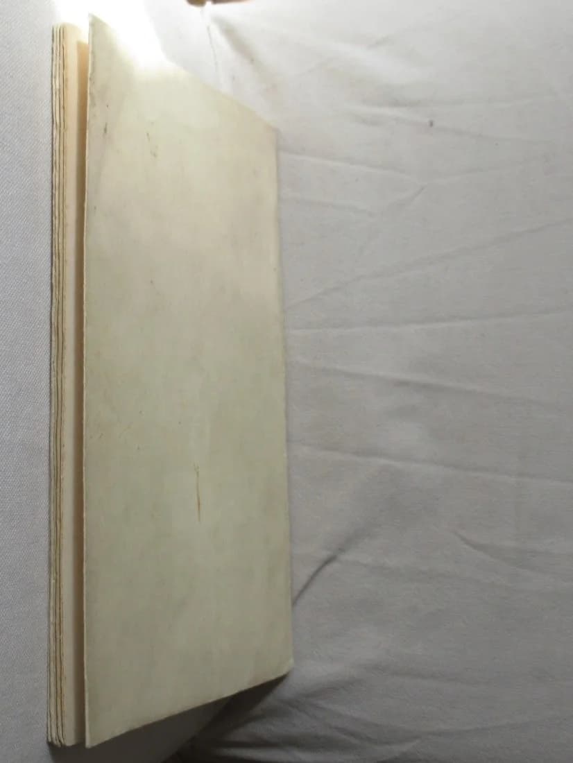 Notes sur la Famille Berlier de Vauplane. Marie P B de Vauplane - Image 7