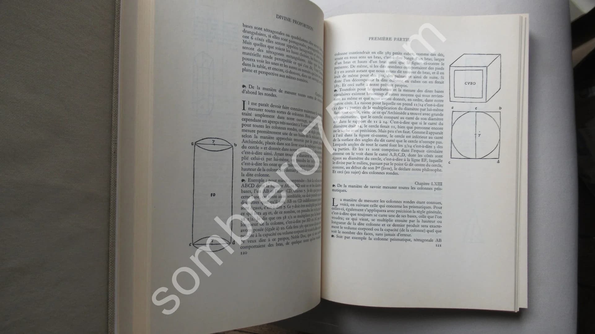 Divine Proportion - Image 4