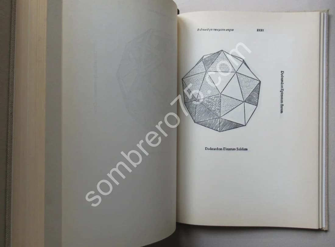 Divine Proportion - Image 5