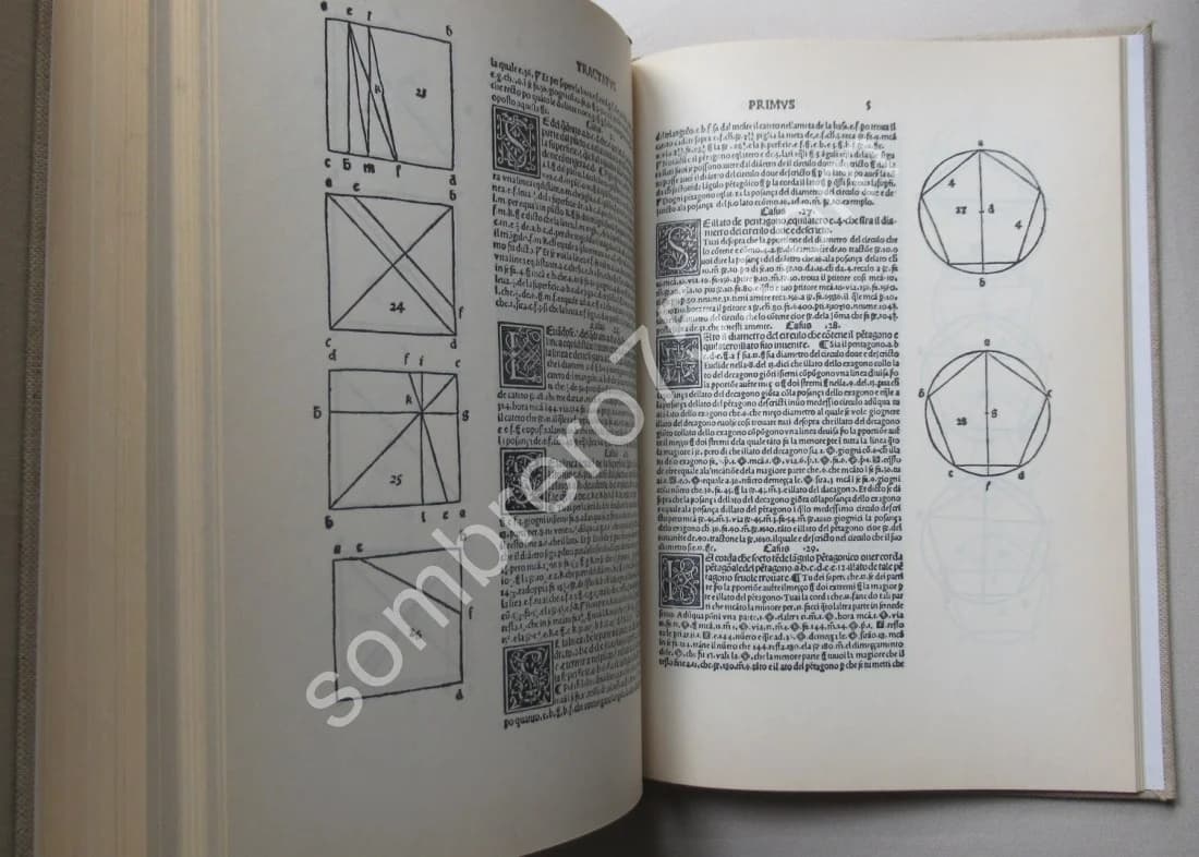 Divine Proportion - Image 6