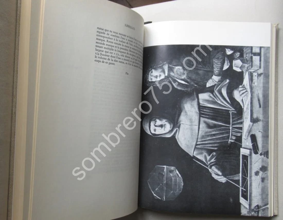 Divine Proportion - Image 7