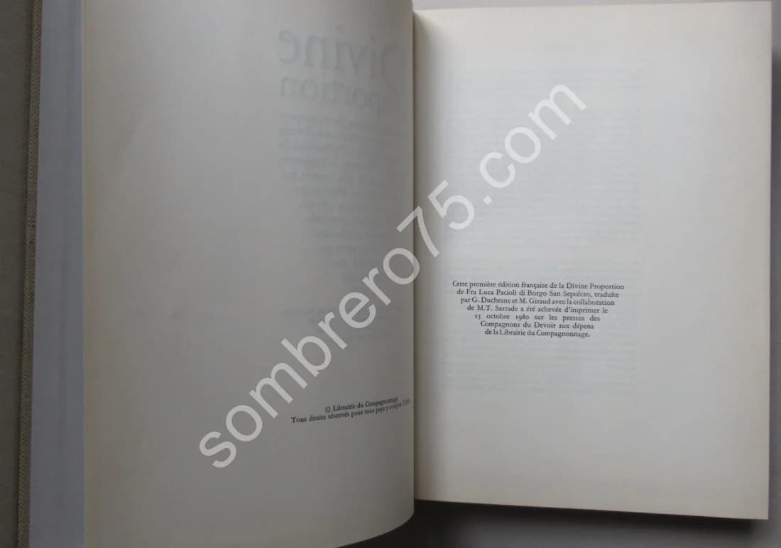 Divine Proportion - Image 8