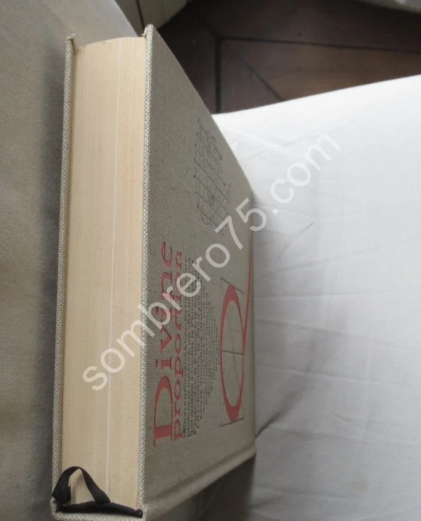 Divine Proportion - Image 9