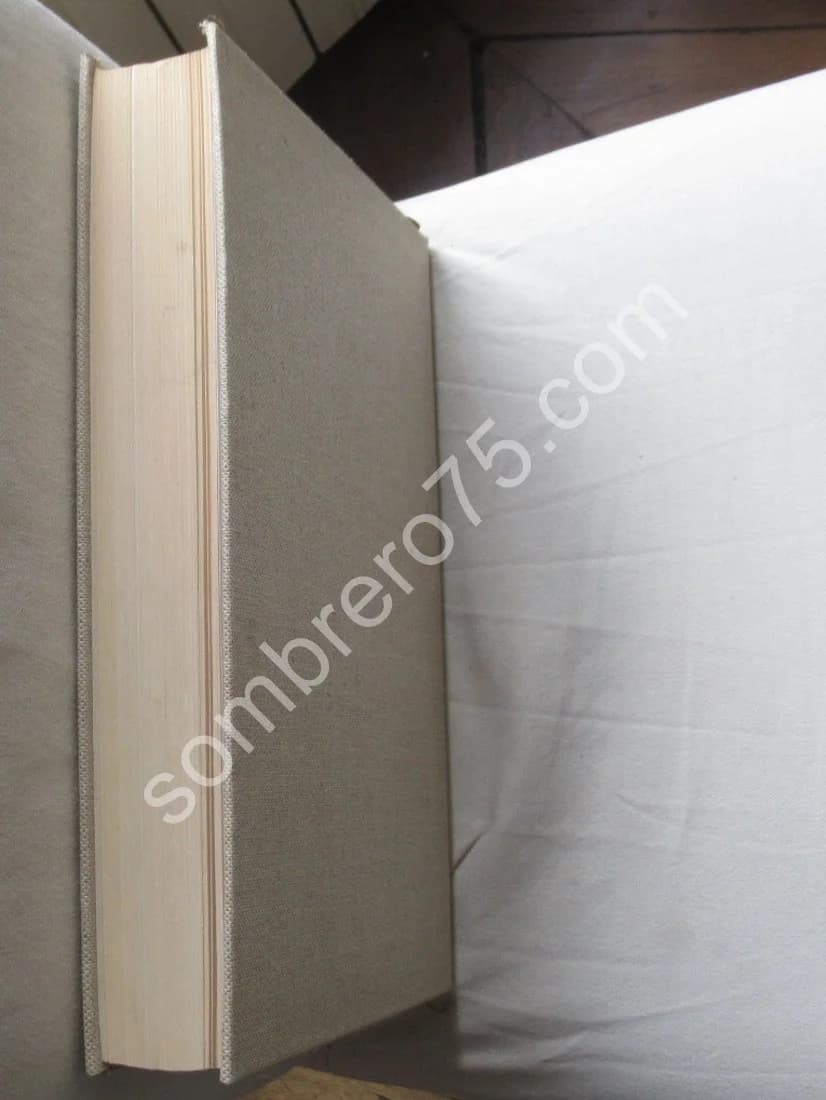 Divine Proportion - Image 10