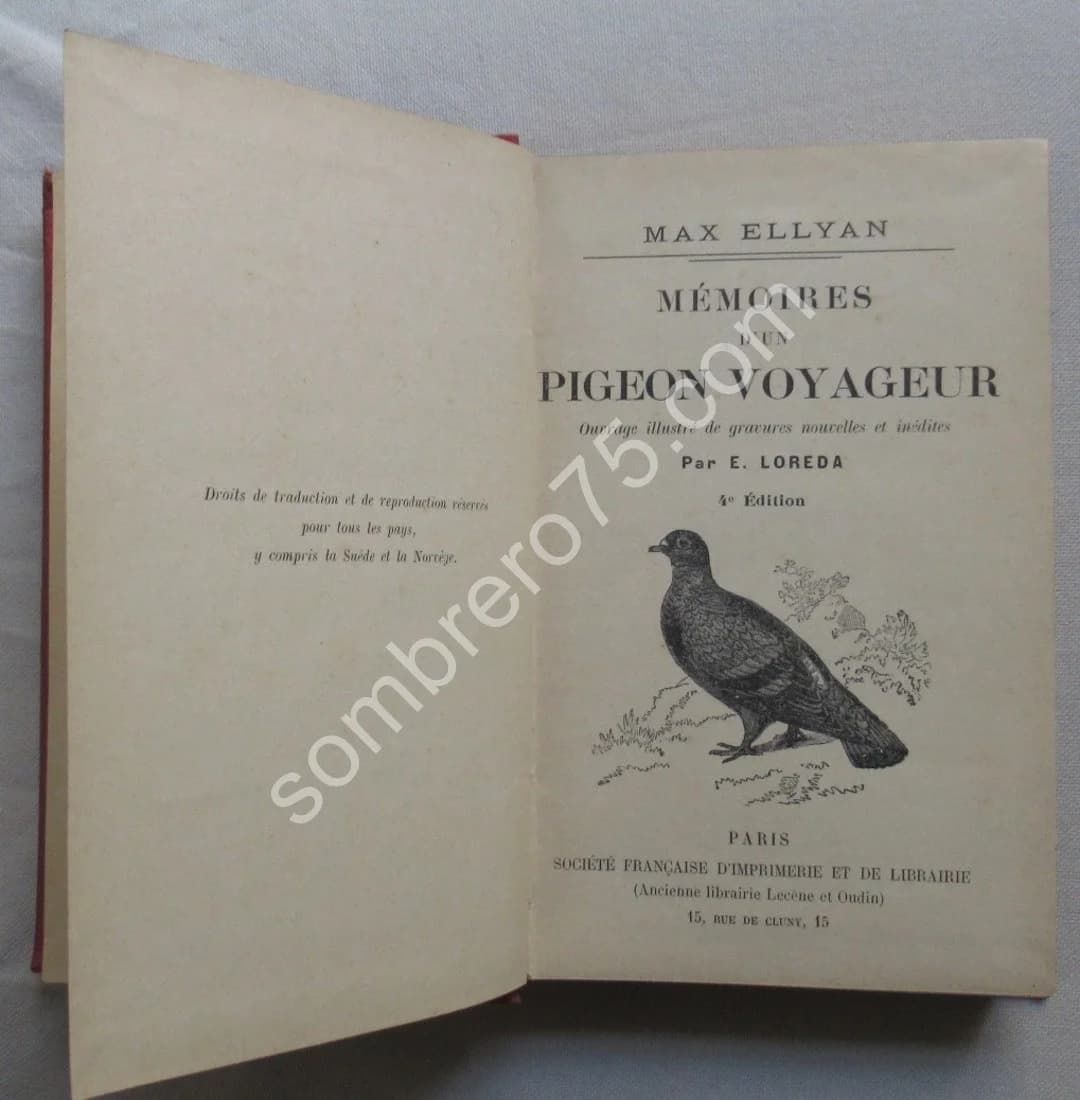 Mémoires d'un Pigeon Voyageur.. Ill. E. LOREDA - Image 3
