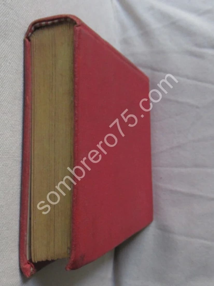 Mémoires d'un Pigeon Voyageur.. Ill. E. LOREDA - Image 6