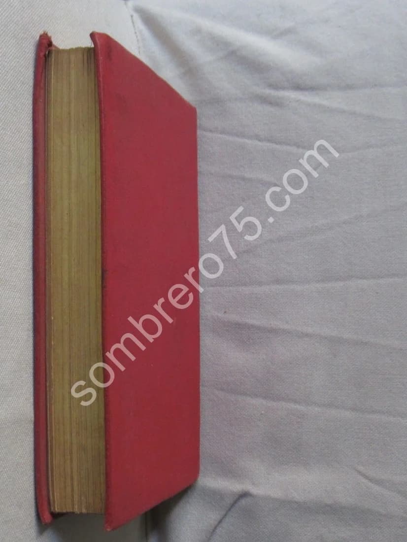 Mémoires d'un Pigeon Voyageur.. Ill. E. LOREDA - Image 7