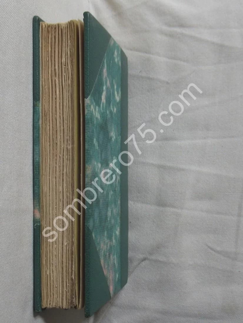 Souvenirs de Schaunard.. 1887. E.O - Image 8