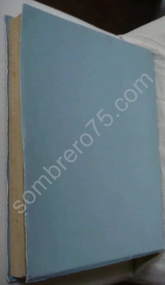 Journal de la Haute Cour de Justice ou l'Echo des Hommes Libres, Vrais et Sensibles An IV - An V - Image 2