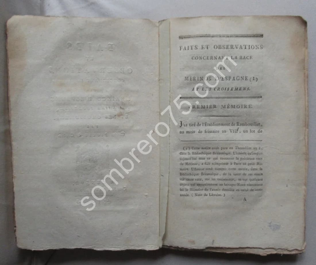 Faits et Observations concernant la Race des Merinos d'Espagne. Ch PICTET - Image 5