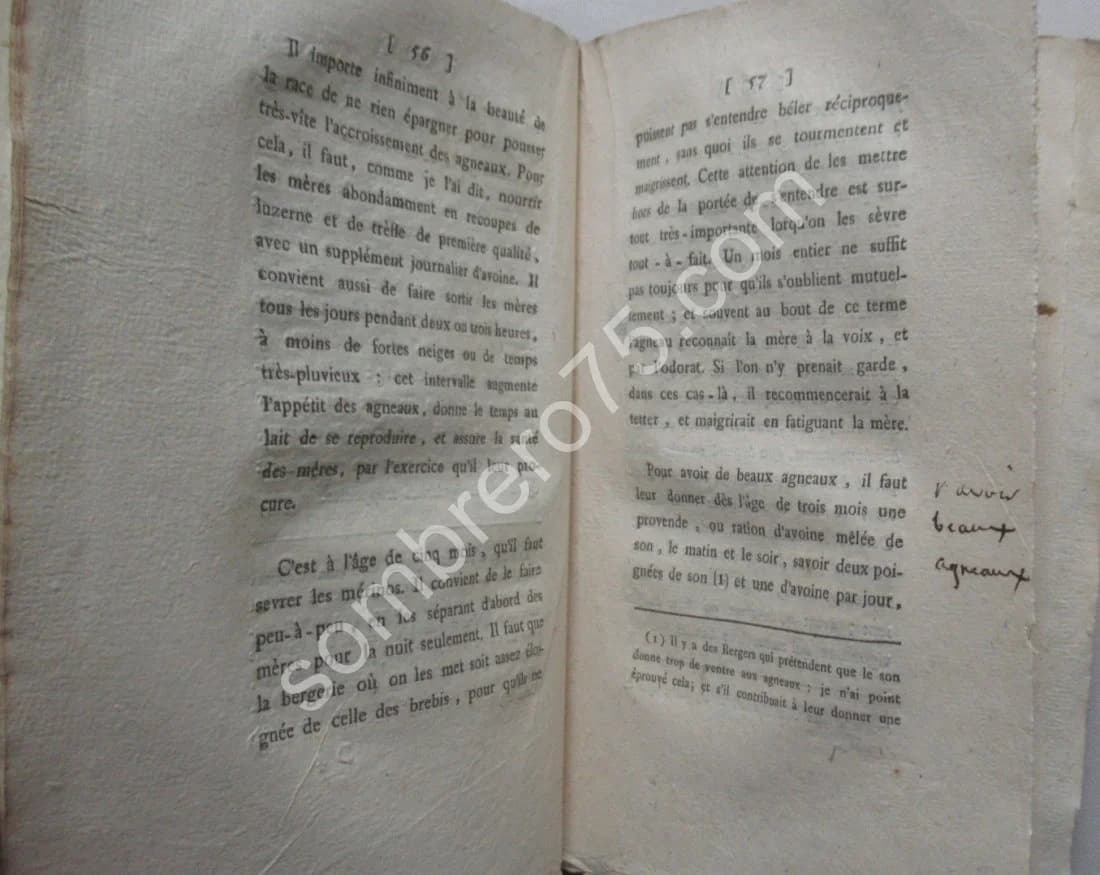 Faits et Observations concernant la Race des Merinos d'Espagne. Ch PICTET - Image 6