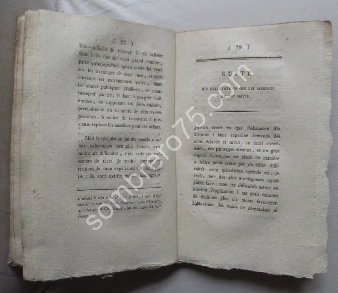 Faits et Observations concernant la Race des Merinos d'Espagne. Ch PICTET - Image 7